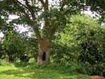 20020815/bretagne03.jpg
