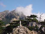 200209/corse33.jpg
