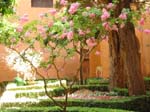 20030801/andalousie08.jpg

