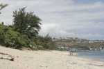 20081001/CRW_2107_RJ.JPG
