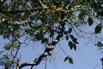 20081001/CRW_2203_RJ.JPG
