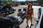 Myrtille, entre motos et voitures
