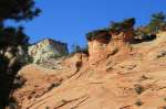 Zion National park, le long de la route du parc
